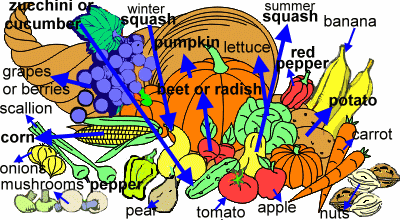Cornucopia Quiz Solution