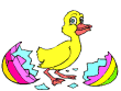 Quacking my way through life.