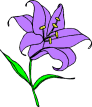 Purple here but usually white.