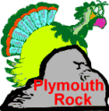 Turkey at Plymouth Rock