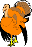 Turkey saying "wheres my corn?"