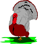 Turkey saying "it is a pretty day for a turkey strut."