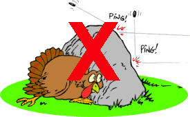 "Thank turkey goodness for this rock to protect me."