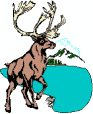 Caribou and elk love Canada and her Tundra's.