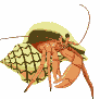 Crab