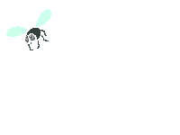 Flying Fly