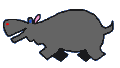Hippopotamus