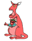 Kangaroo