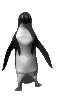 Penquin Dance