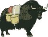 Yak