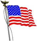 USA Waving Flag