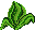 A Rose