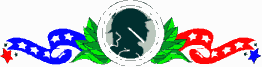 Veteran's Day Banner
