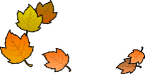 Autumn Leaves