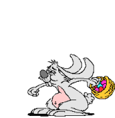Easter Bunnie hoppin'