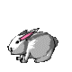 Bouncing Bunny