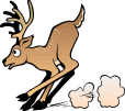 Deer Running Stop