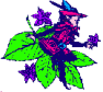 Elf on Leaf