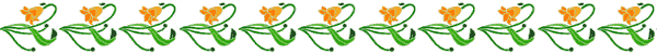 Lily Border