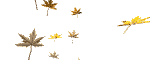Falling Leaves