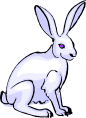 Bunnie hoppin along.