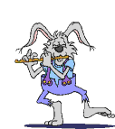 Rabbits love Spring its their hippity hoppin season!