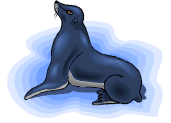 A beautiful and joyful critter performs for his audience.