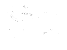 Snowfall
