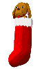 Santa has filled this Christmas Stocking.