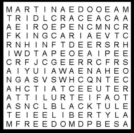 Martin Luther King Middies Word search puzzle