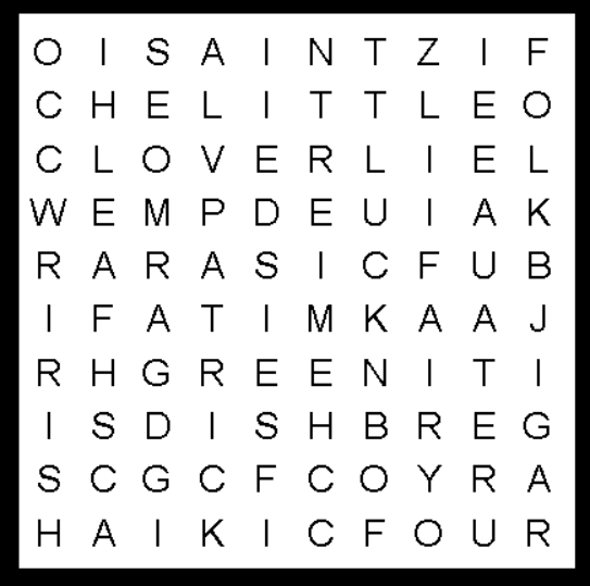 Kids 12 word Word Search puzzle