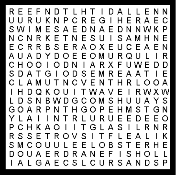 Deluxe Water Word Search Puzzle